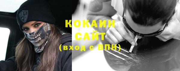 ешки Ельня