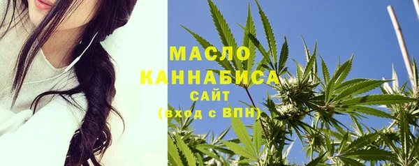 ешки Ельня