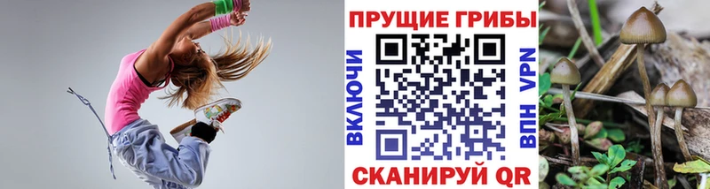 Галлюциногенные грибы Cubensis  Купить закладки  Райчихинск 